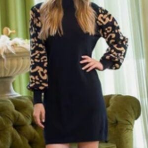 NWOT THML Bishop Sleeve Sweater Dress